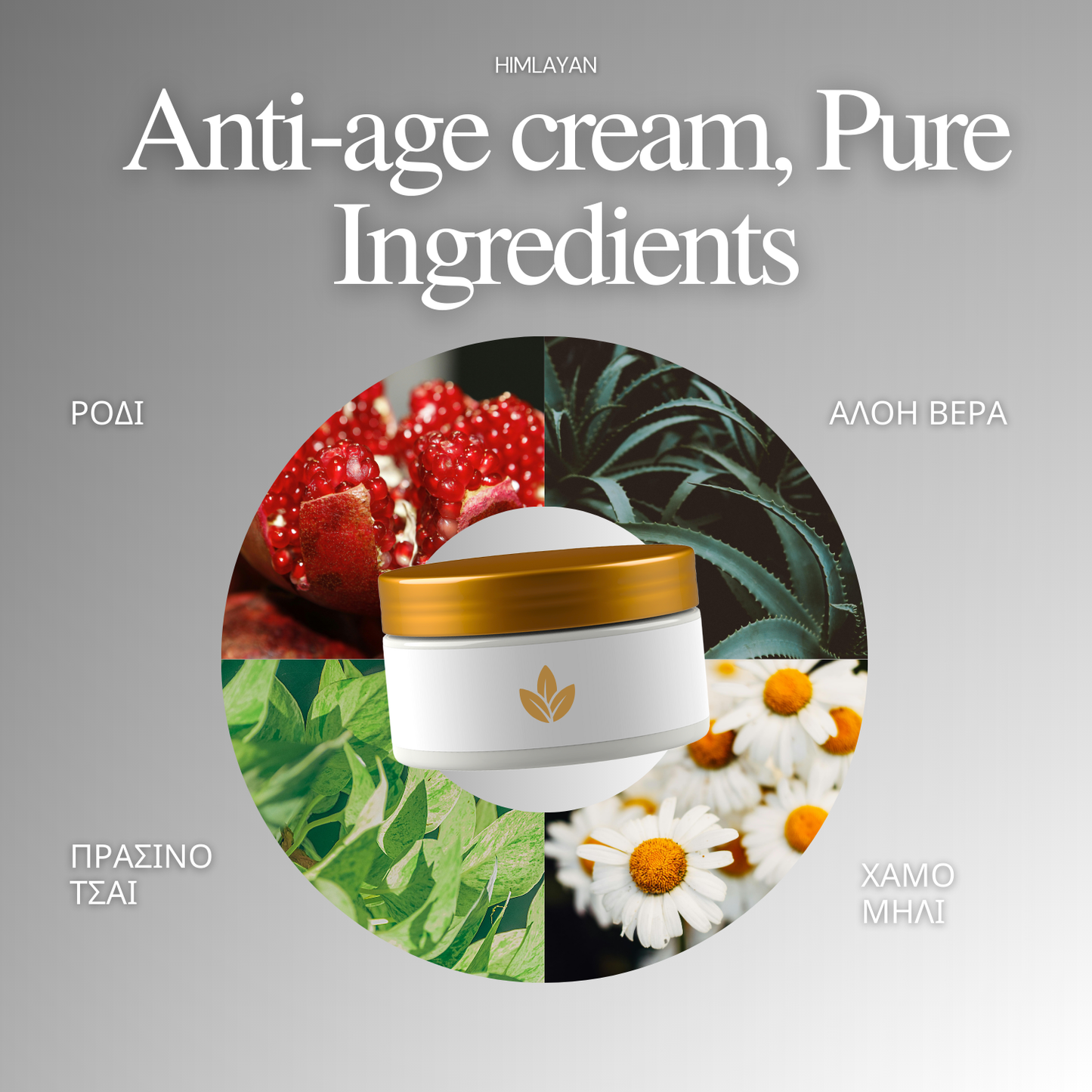 Anti age Cream 30g